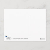 イーグルフクロウ葉書のポートレート ポストカード (裏面)