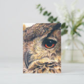 イーグルフクロウ葉書のポートレート ポストカード (スタンド正面)