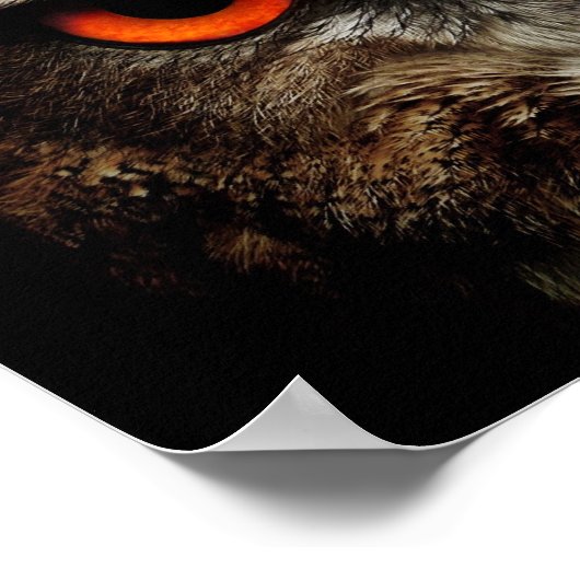 イーグルフクロウ ポスター (角)