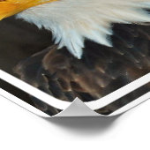 イーグルヘッドポスター ポスター (角)