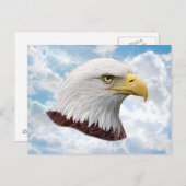 イーグルヘッド – ポストカード (正面/裏面)