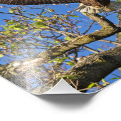 イーグルペア フォトプリント            (角)