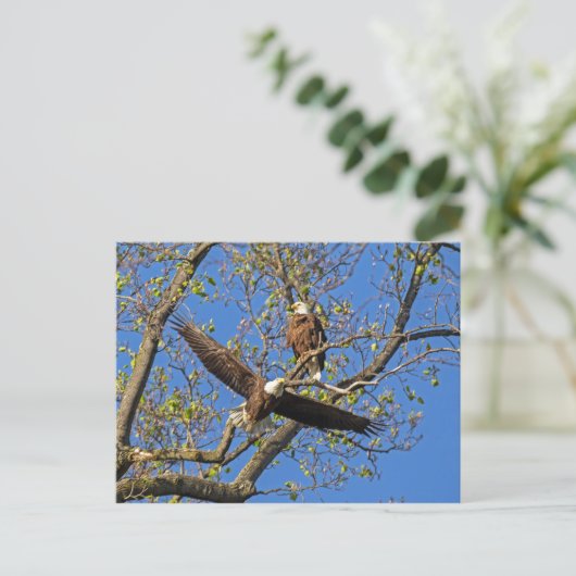 イーグルペア ポストカード (スタンド正面)