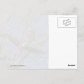 イーグルペア ポストカード (裏面)