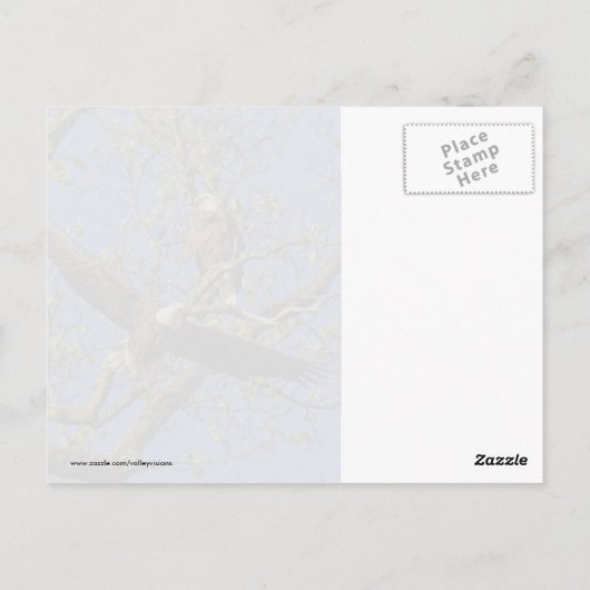 イーグルペア ポストカード (裏面)