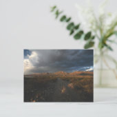 イーグルポイントでの夕日 ポストカード (スタンド正面)