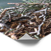 イーグルポスター ポスター (角)