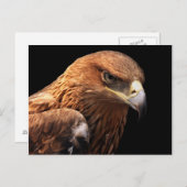 イーグルポートレートが黒で孤立 ポストカード (正面/裏面)