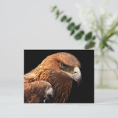 イーグルポートレートが黒で孤立 ポストカード (スタンド正面)