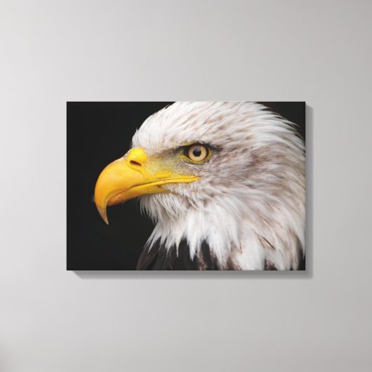 イーグルポートレート キャンバスプリント (正面)