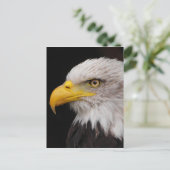 イーグルポートレート ポストカード (スタンド正面)