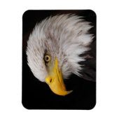 イーグルポートレート マグネット (縦)