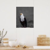 イーグルミニマル選択色写真 ポスター (キッチン)