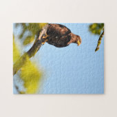 イーグルモンタナ。 ジグソーパズル (横)