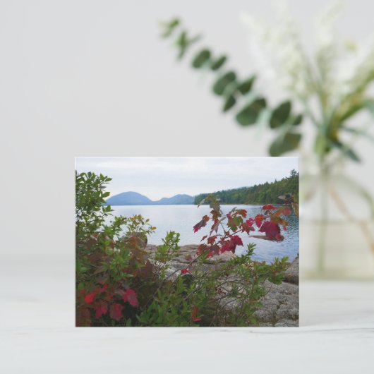 イーグルレイクとレッドメープル離れズ ポストカード (スタンド正面)