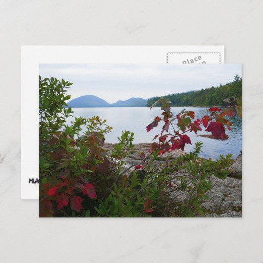 イーグルレイクとレッドメープル離れズ ポストカード (正面/裏面)