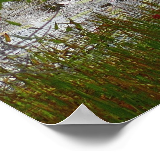 イーグルレイクとレッドメープル離れズII ポスター (角)