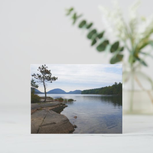 イーグルレイクアットアカディア国立公園 ポストカード (スタンド正面)