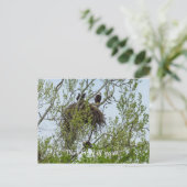 イーグル家に出会う ポストカード (スタンド正面)