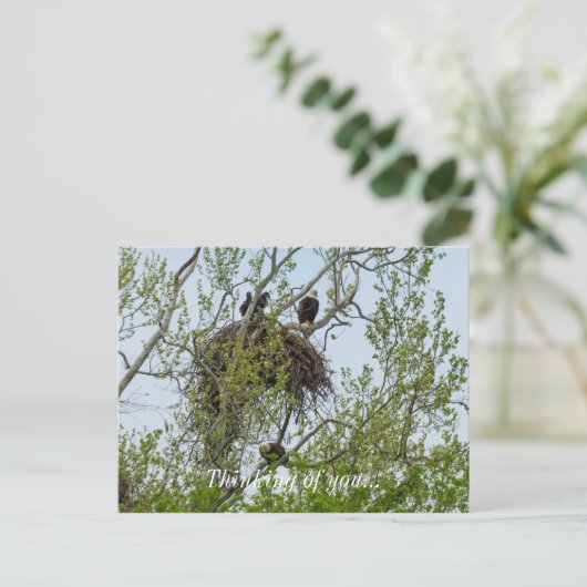 イーグル家に出会う ポストカード (スタンド正面)