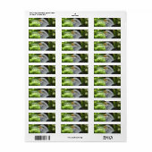 イーグル差出人住所宛名ラベル ラベル (フルシート)