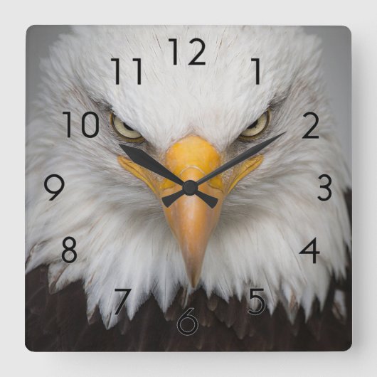 イーグル接写 スクエア壁時計 (正面)