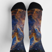 イーグル星雲の創造の柱 ソックス (上部)