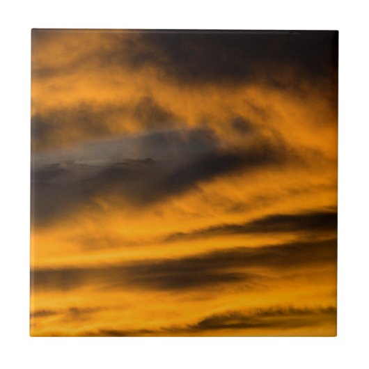 イーグル焼き タイル (正面)