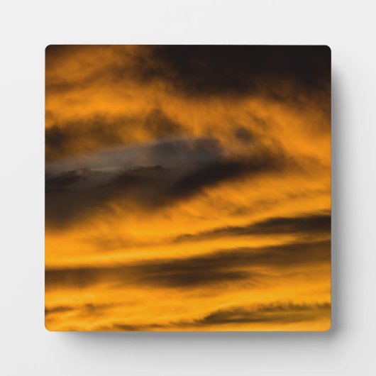 イーグル焼き フォトプラーク (正面)