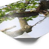 イーグル着陸方法 フォトプリント            (角)