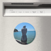 イーグル磁石 マグネット (インサイチュ (食洗機))