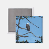 イーグル磁石 マグネット (正面/裏面)