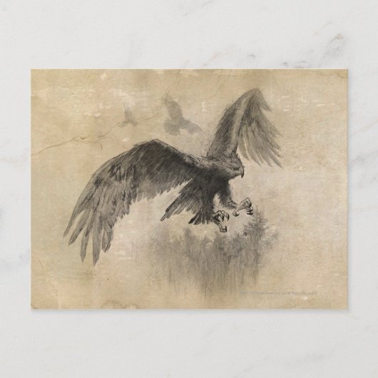 イーグル素晴らしススケッチ ポストカード (正面)