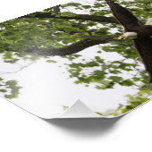 イーグル翼 フォトプリント            (角)