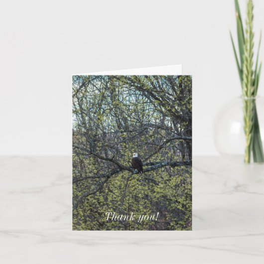 イーグル認識度 カード (正面)