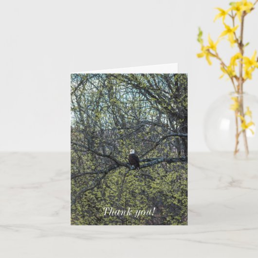 イーグル認識度 カード (黄色い花)