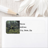 イーグル認識度 ラベル (インサイチュ)