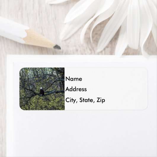 イーグル認識度 ラベル (インサイチュ)