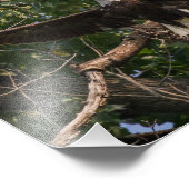 イーグル連行便 フォトプリント            (角)