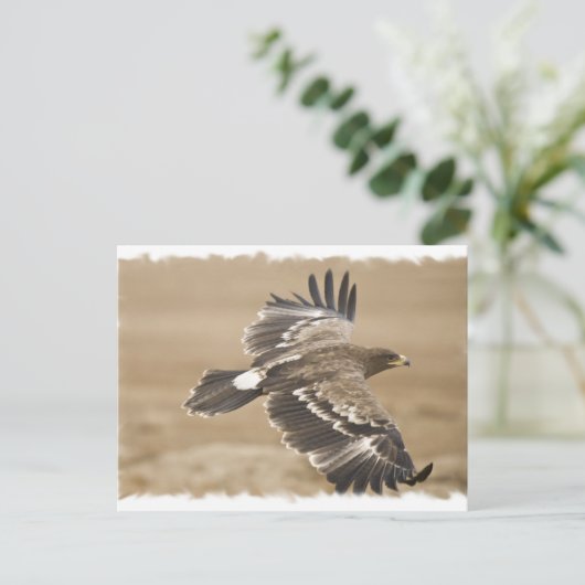 イーグル飛んでいるバードはがき ポストカード (スタンド正面)