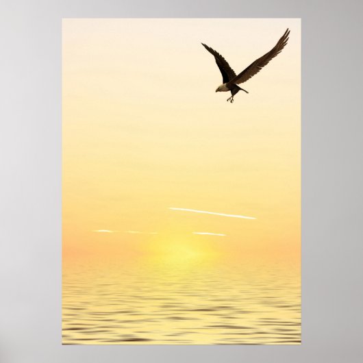 イーグル飛んでいる ポスター (正面)