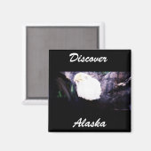 イーグル飛んでいる マグネット (正面/裏面)