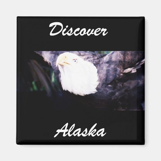 イーグル飛んでいる マグネット (正面)