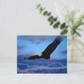 イーグル飛行中 ポストカード (スタンド正面)