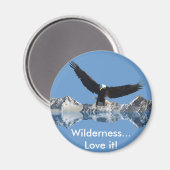 イーグル飛行機収集 マグネット (正面/裏面)