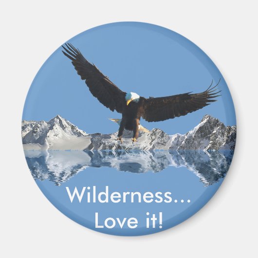 イーグル飛行機収集 マグネット (正面)