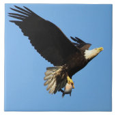 イーグル飛行 タイル (正面)