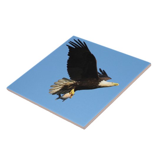 イーグル飛行 タイル (側面)