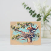 イーグル食べ物を与えの若いネストオンパインツリーパステル ポストカード (スタンド正面)