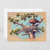 イーグル食べ物を与えの若いネストオンパインツリーパステル ポストカード (正面/裏面)